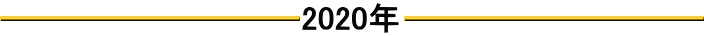 2020年 2020年